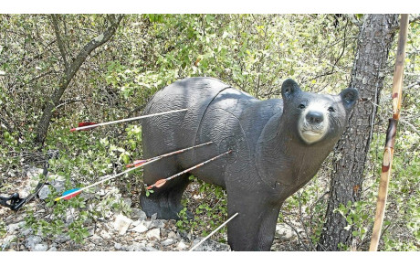 Mandat tir 3 D -Run archerie -DR Promo .