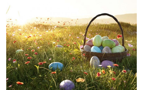 Tir aux chocolats - Edition 2024