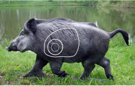 Tir 3D de Vivières du 21 Juillet 2024