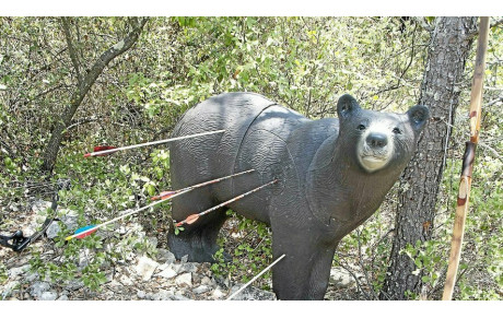 Tir 3D - Plessis Brion (Octobre 2024)